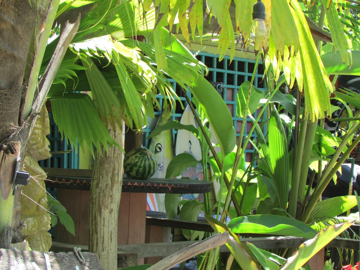 Coconut Hostel Bocas Town מראה חיצוני תמונה