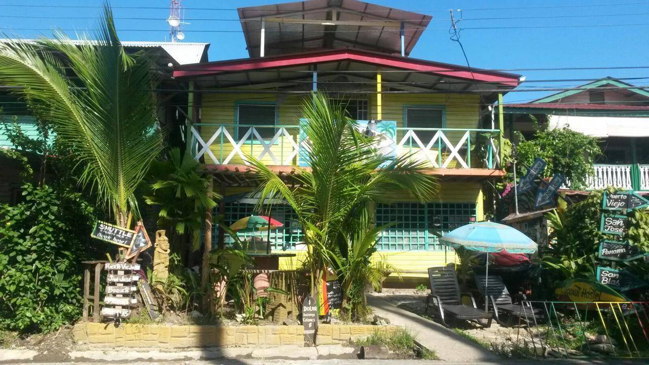 Coconut Hostel Bocas Town מראה חיצוני תמונה