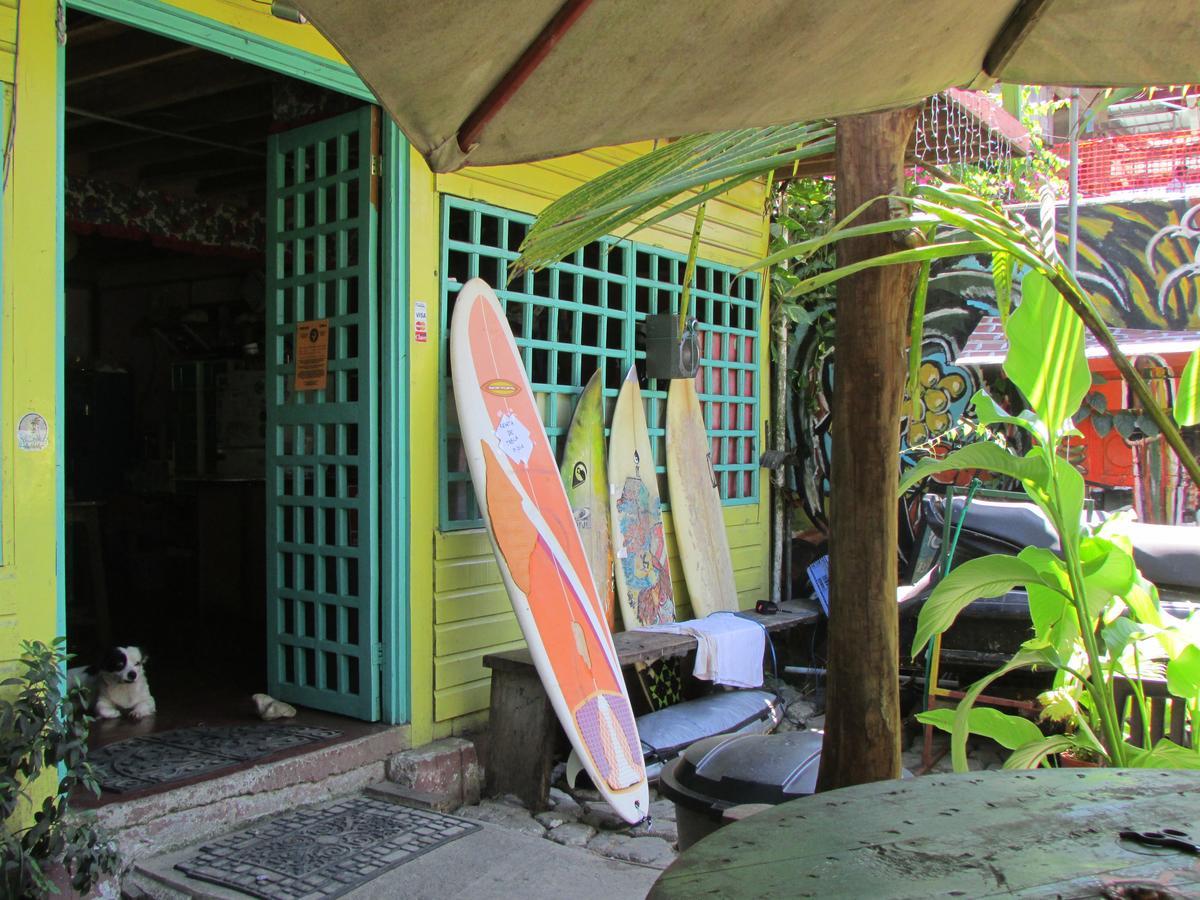 Coconut Hostel Bocas Town מראה חיצוני תמונה