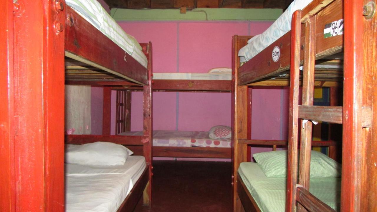 Coconut Hostel Bocas Town מראה חיצוני תמונה