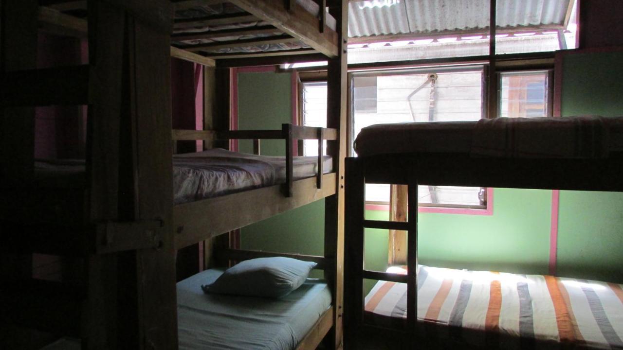 Coconut Hostel Bocas Town מראה חיצוני תמונה