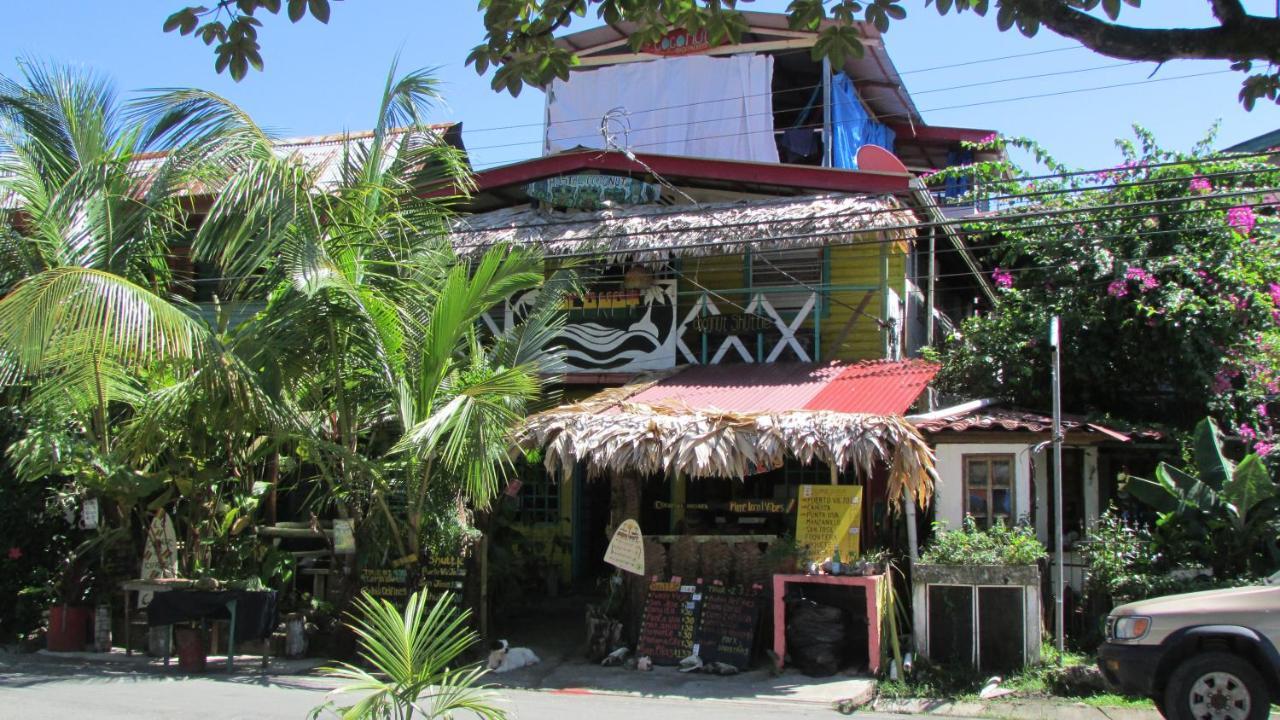 Coconut Hostel Bocas Town מראה חיצוני תמונה