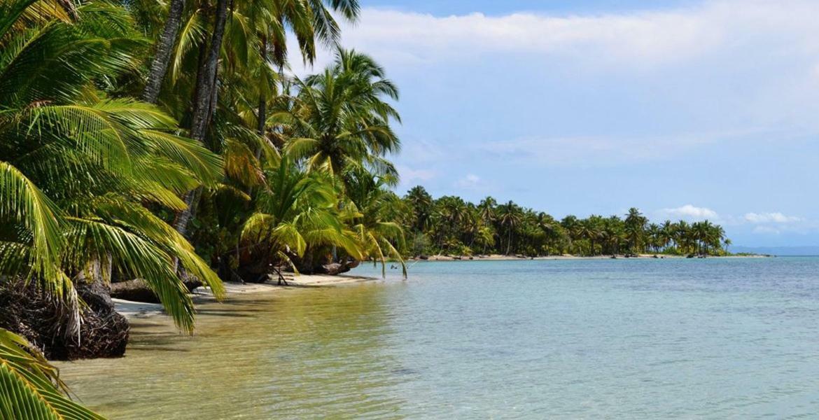 Coconut Hostel Bocas Town מראה חיצוני תמונה
