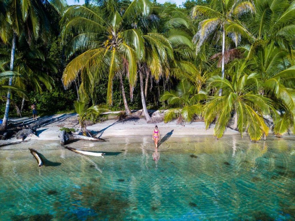 Coconut Hostel Bocas Town מראה חיצוני תמונה